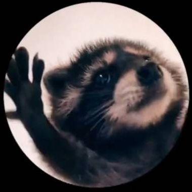bukiq avatar