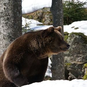 alert163