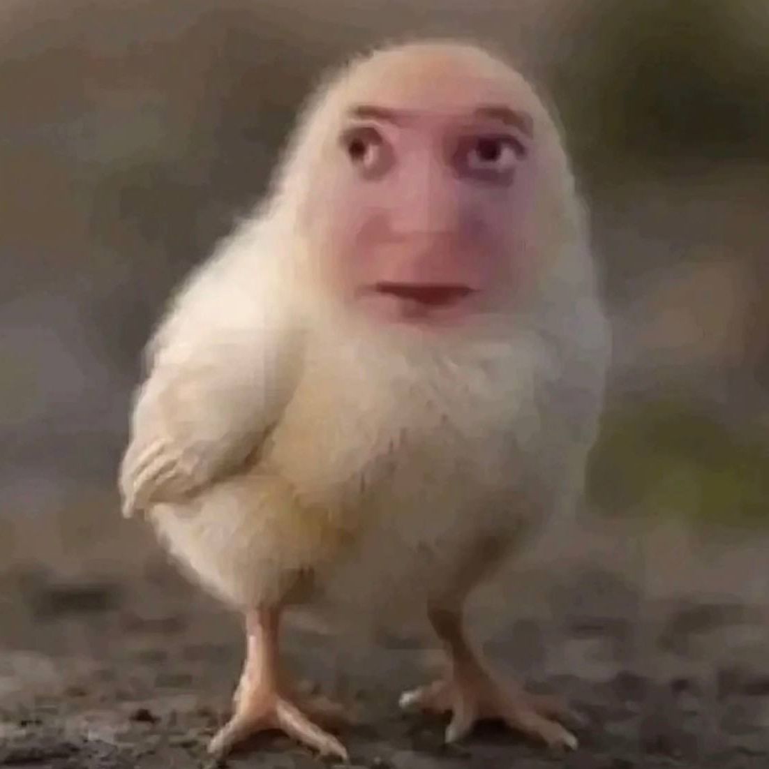 Kiryasoo