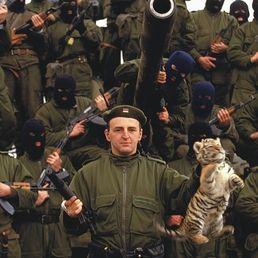 AgentSerb avatar