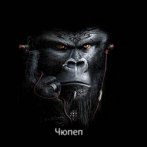 HQD77