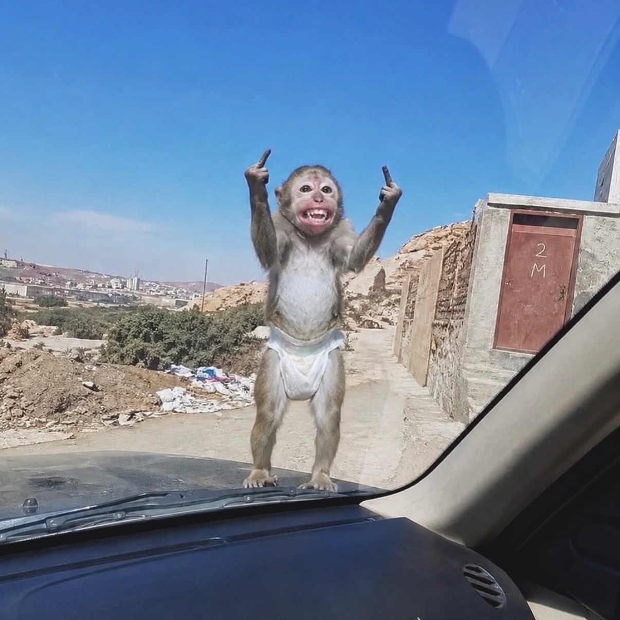 m1zzyhaha FACEIT avatar