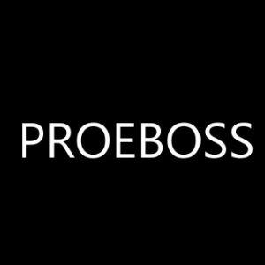 PRORBOSS avatar