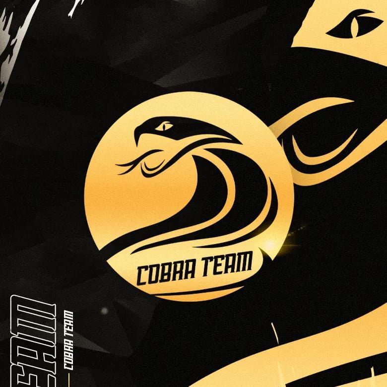 Cobra Team