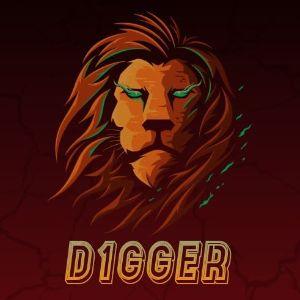 D1ger1 avatar