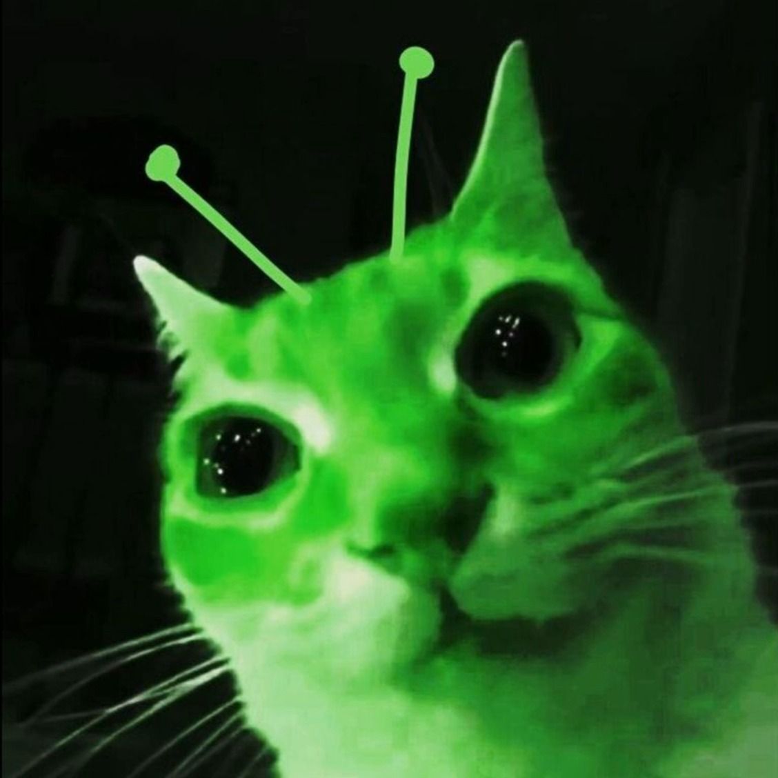 iL0vePDF
