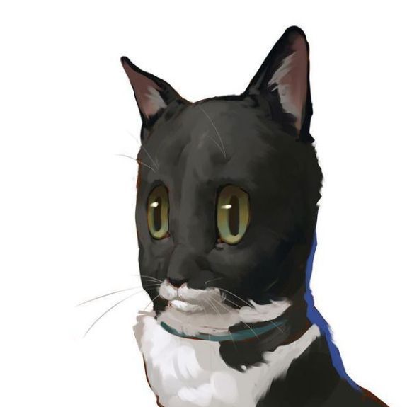 Velterok