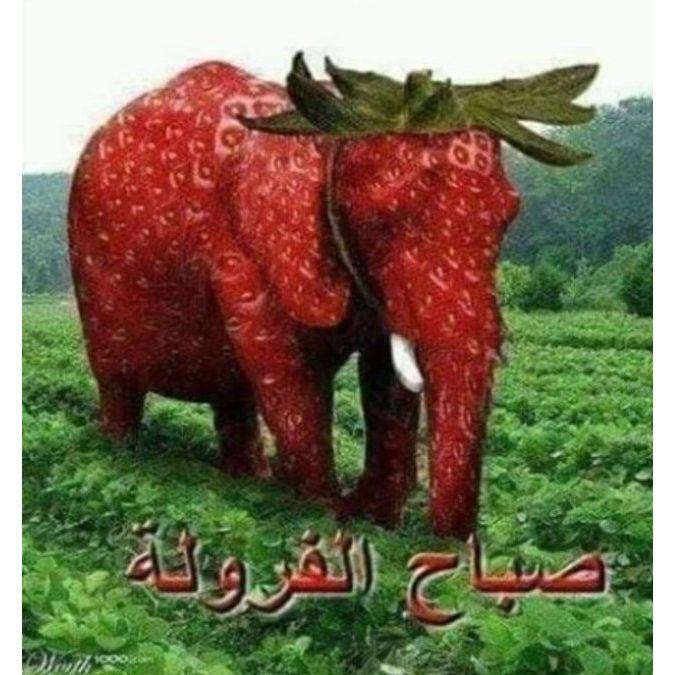 Tjomparen