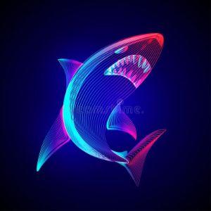 ToughShark avatar