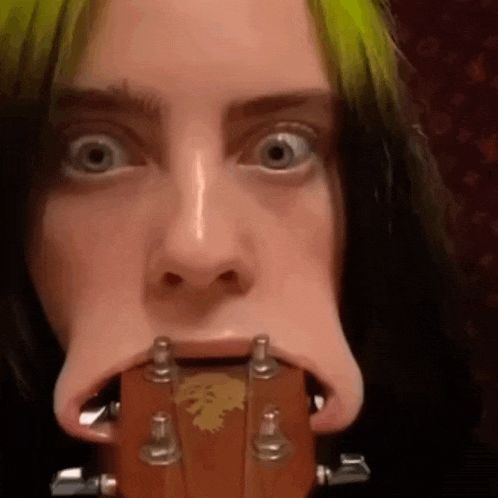 FerNNN