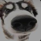 Chrissen_ avatar