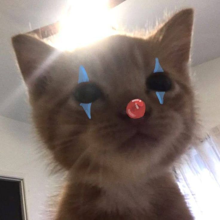 Satan1c2 avatar