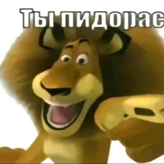 Igr0k37