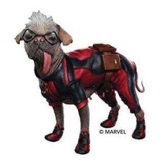 mmamedov31 avatar