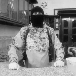 r4v33n_ avatar