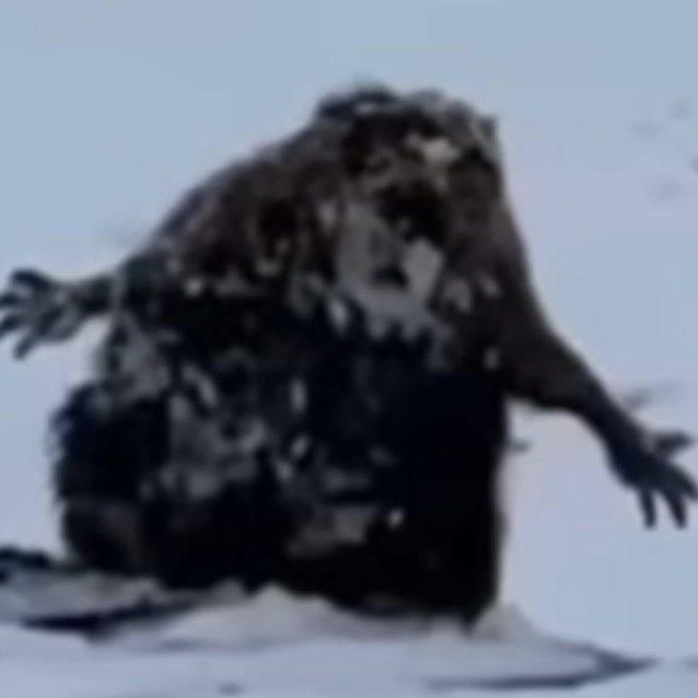-Waka-Waka-