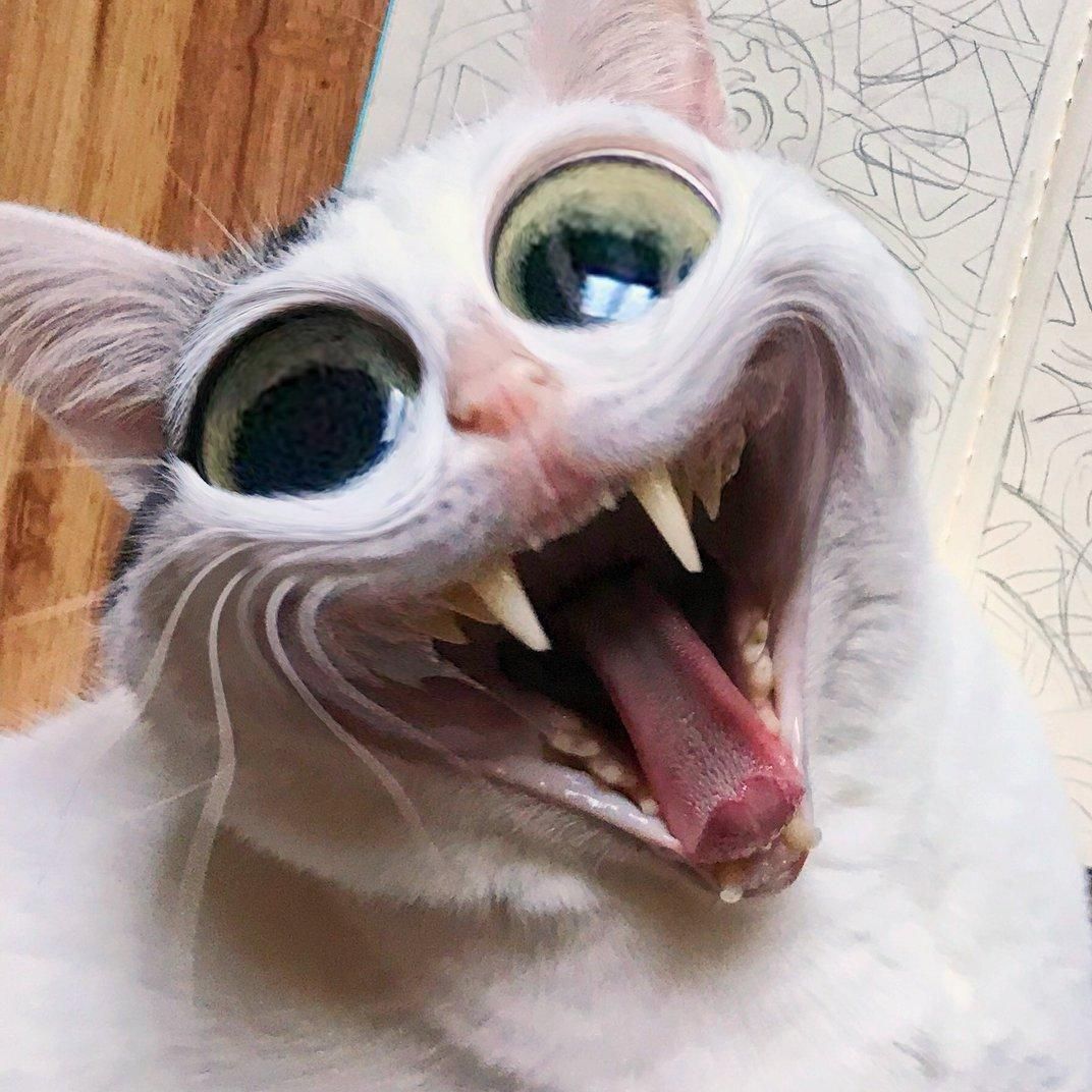 Hilsiiii