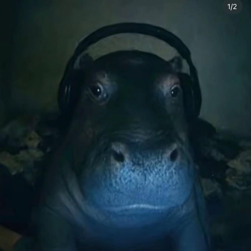 beboni FACEIT avatar