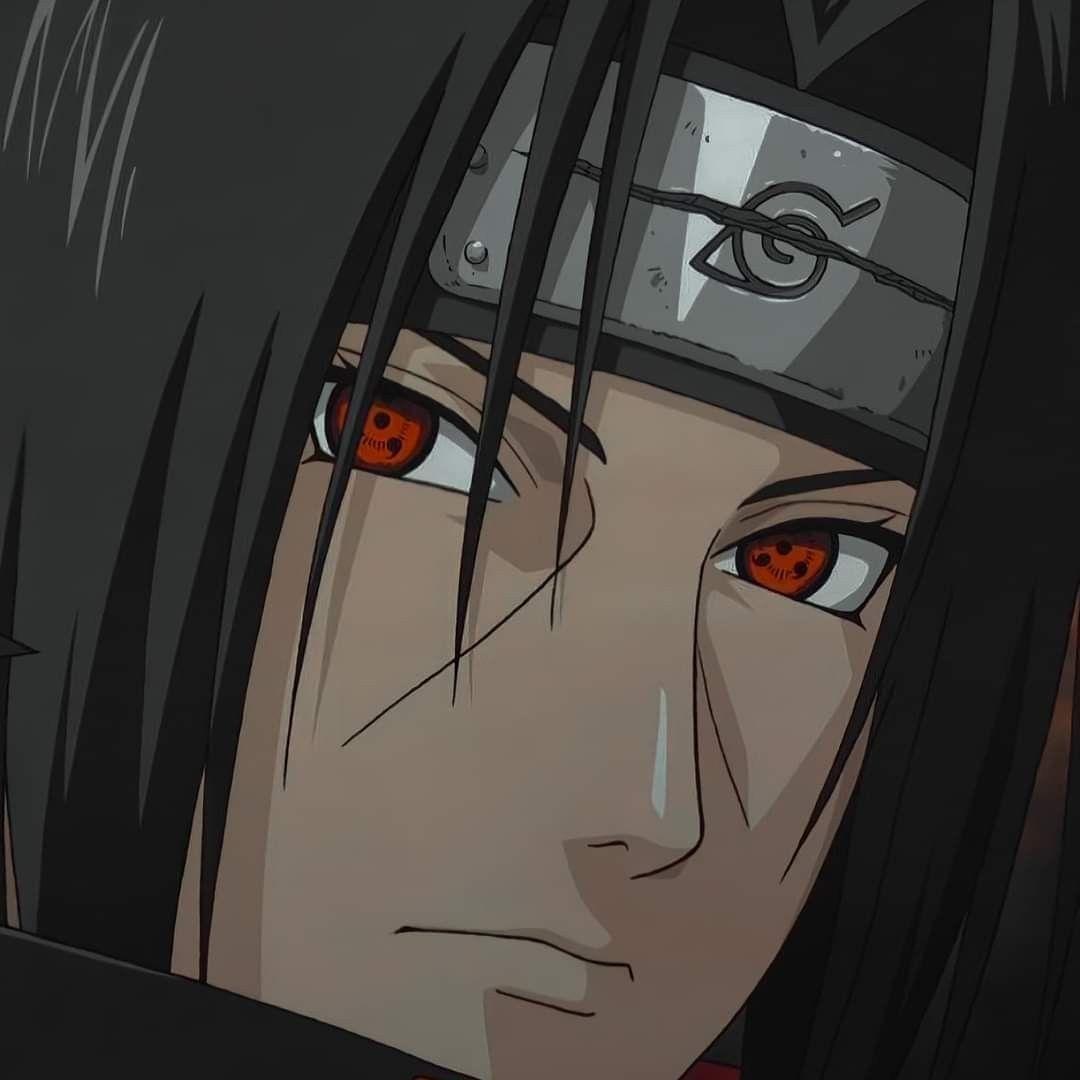 relzer avatar