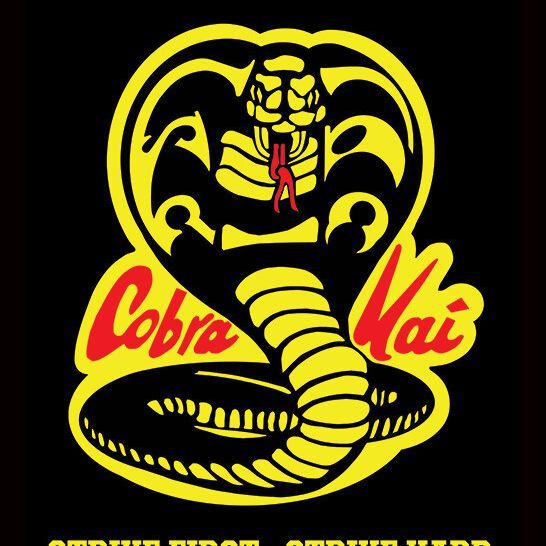 team_Cobra-Kai