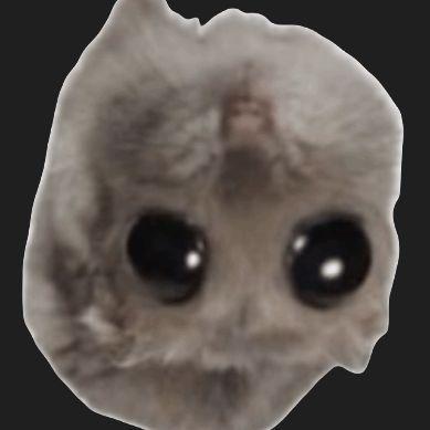 tokz avatar