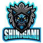 sh1nigam13 avatar