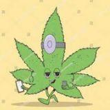 DrWeedy avatar