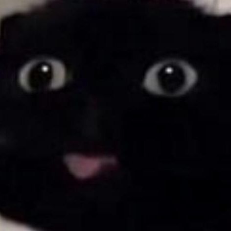 -adL0