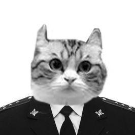 kyoulchl avatar