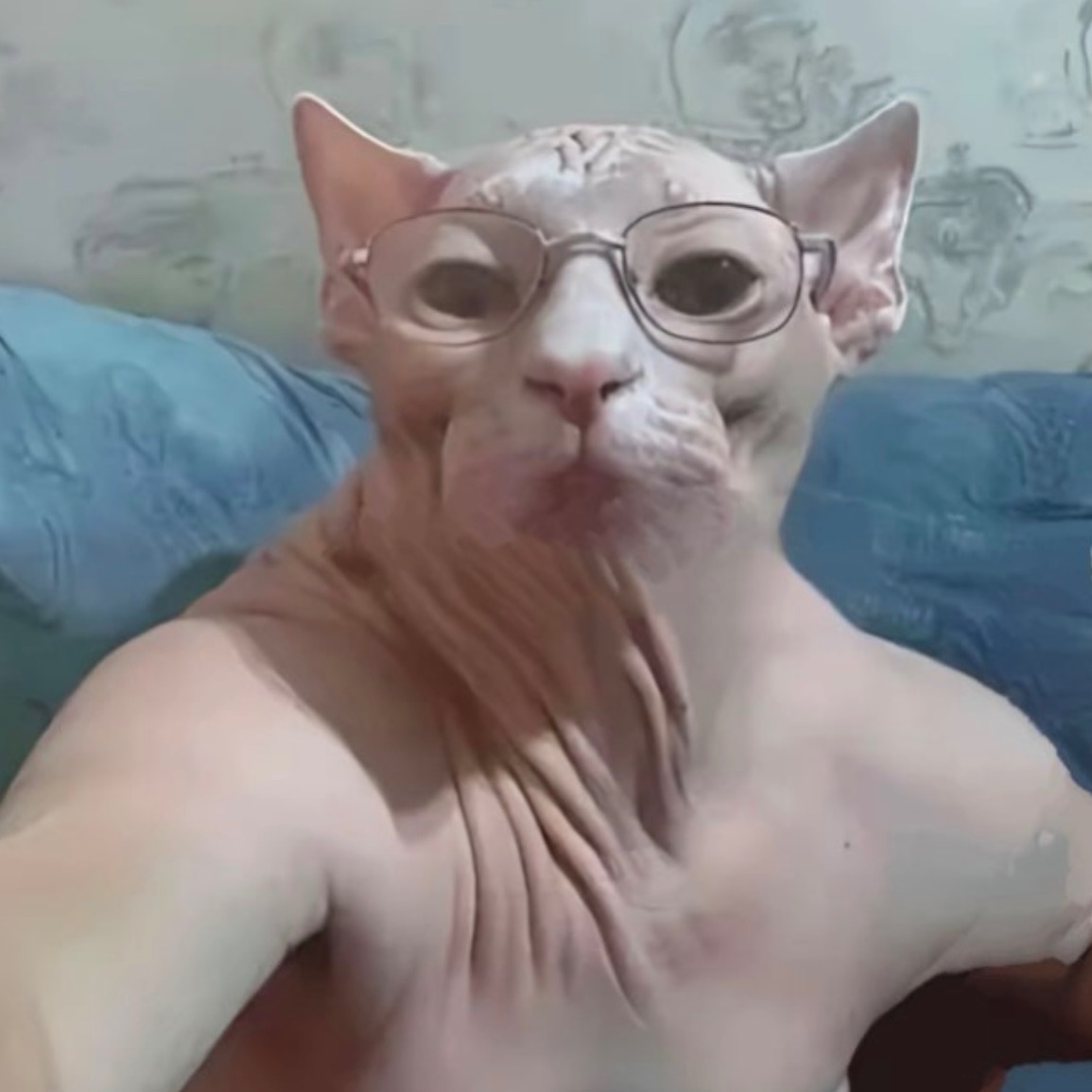 -schuma-