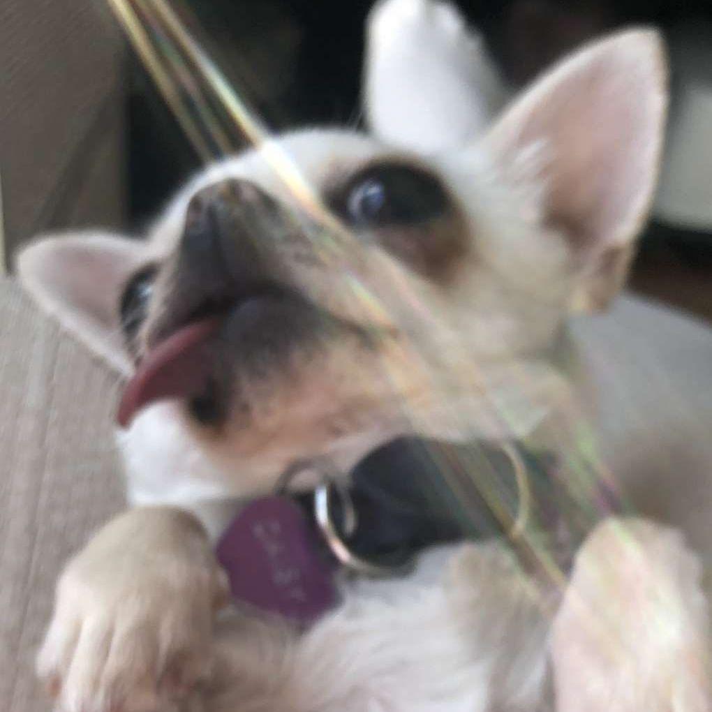 BabuFT avatar