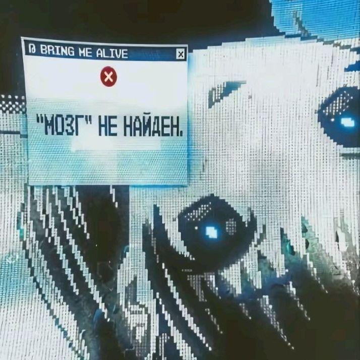 miyazawa avatar