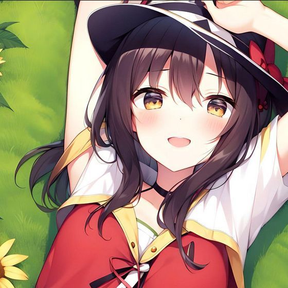 senke2