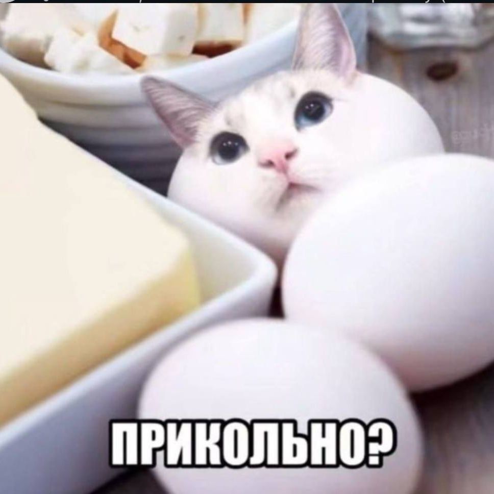 m0tya777