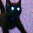 -R1zzler- avatar