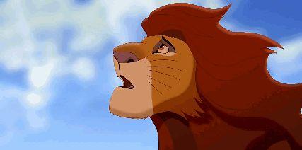 Simba_____
