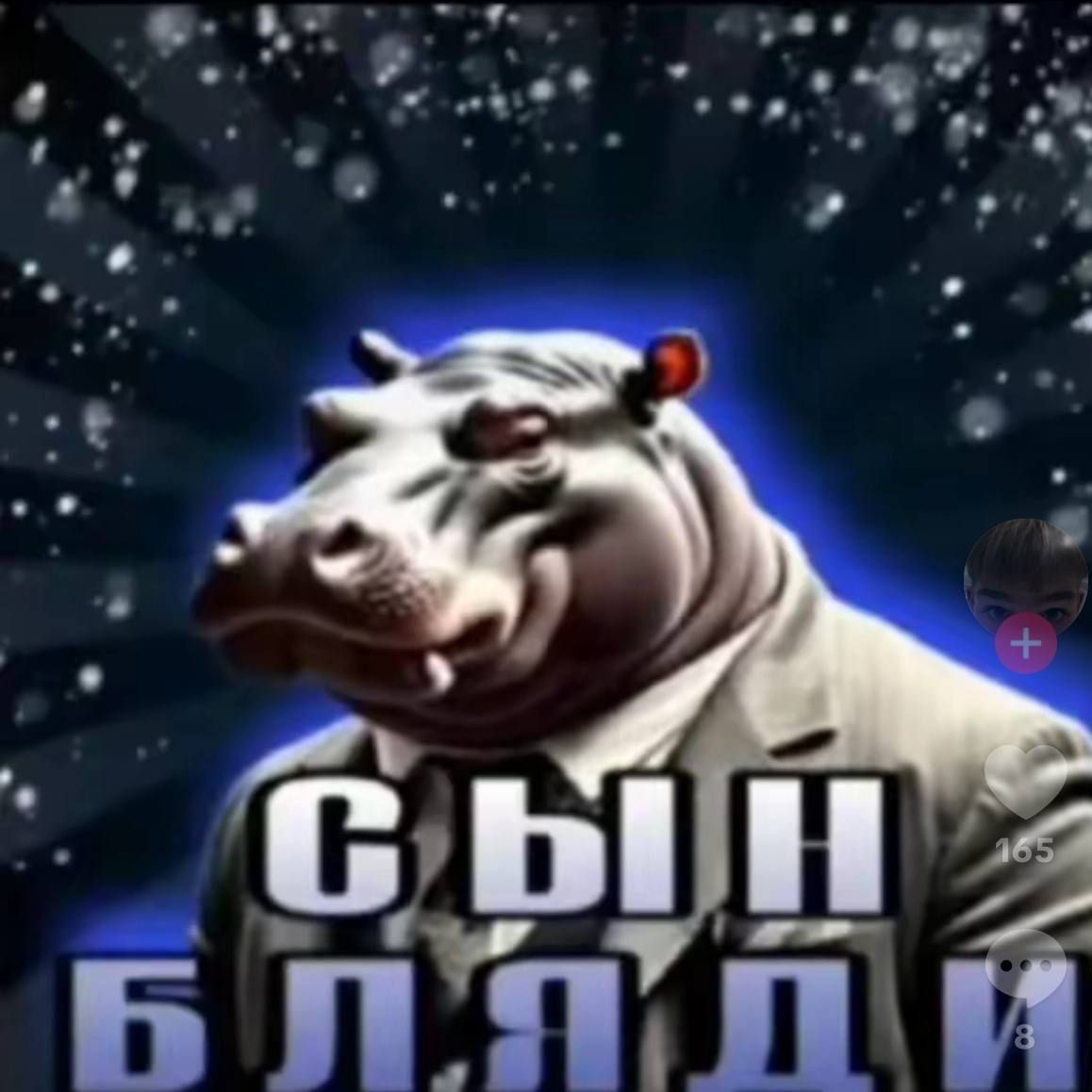 CbIH_BLYADI avatar