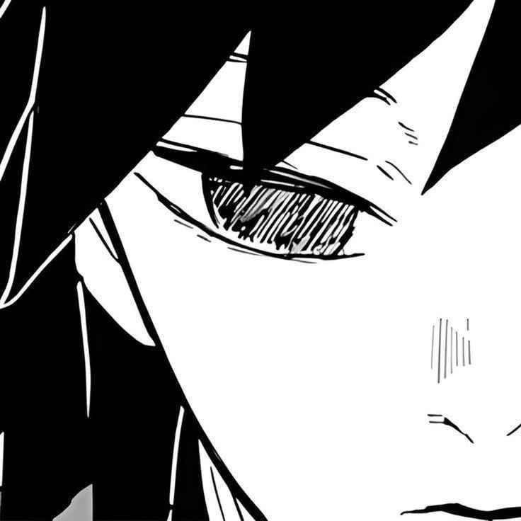 Peek240h avatar