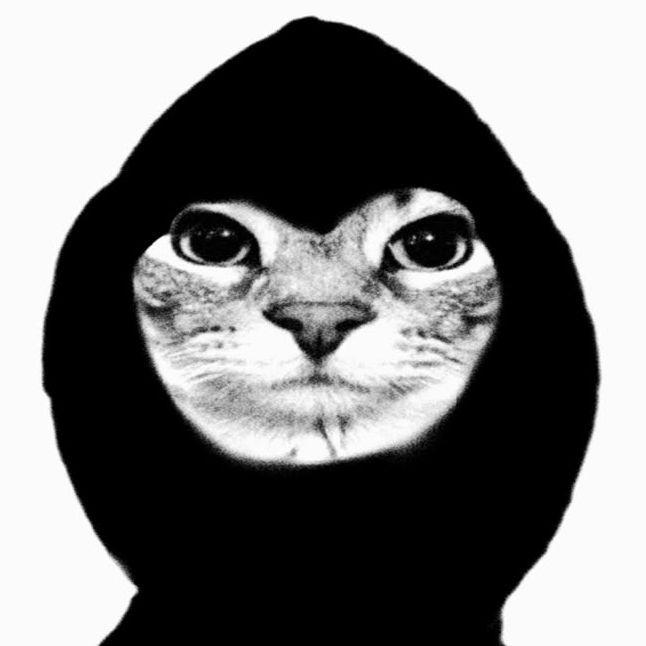 piskapopka00 avatar