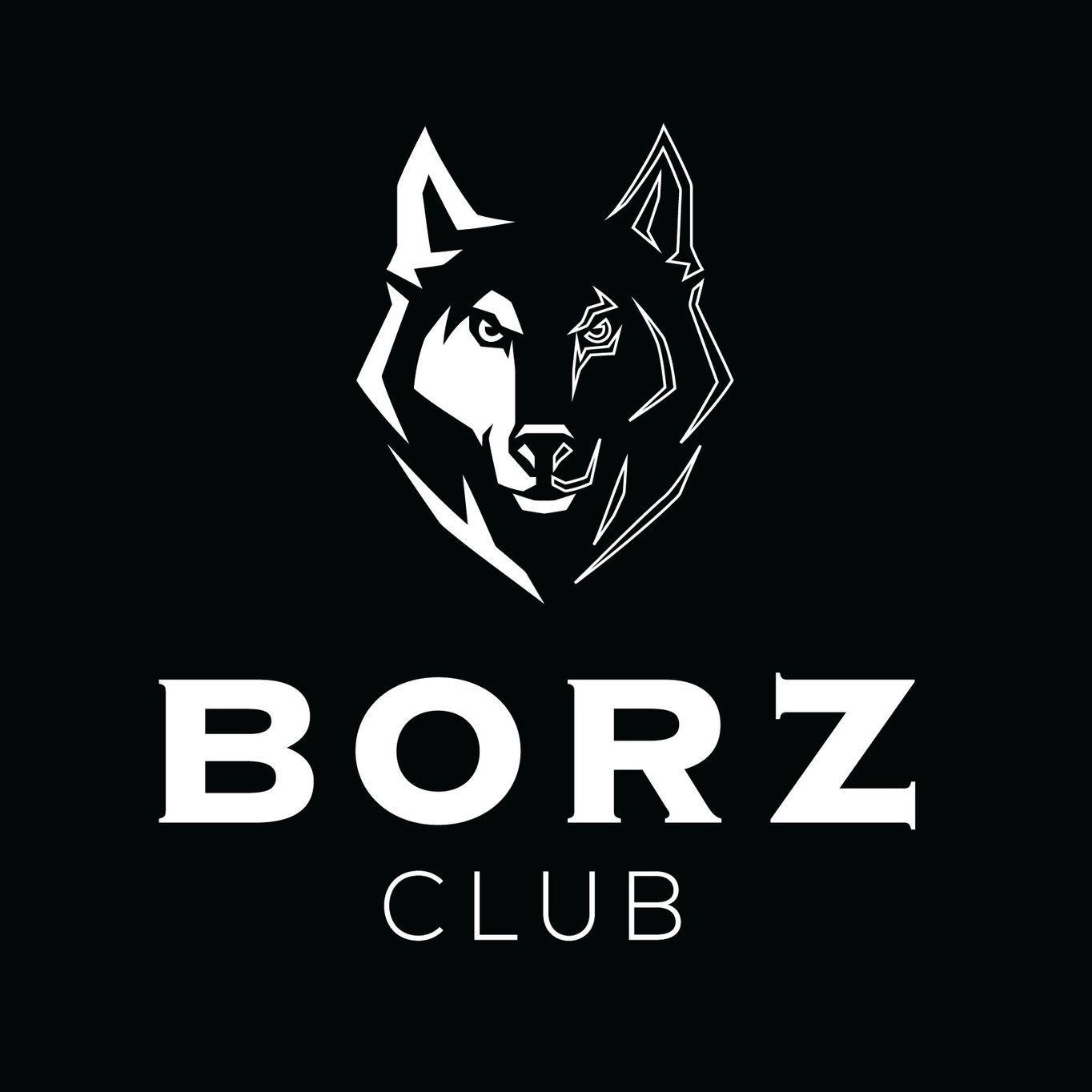Player borzTUR-AZE avatar
