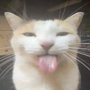 Anhyzer14 avatar