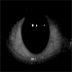hopelestoxic avatar