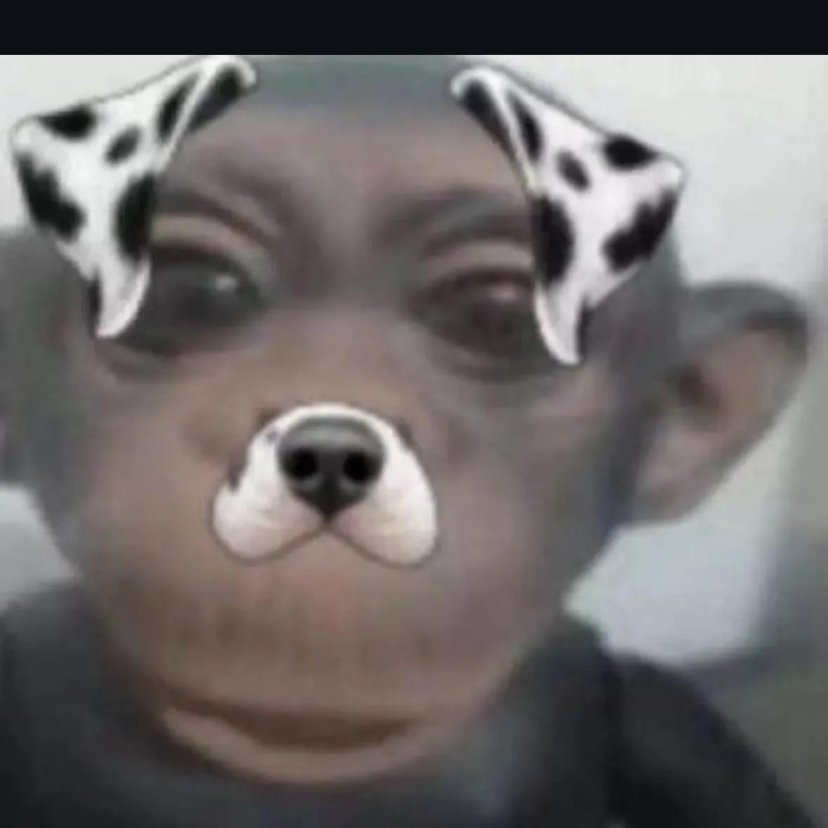 Cr1ssJ avatar