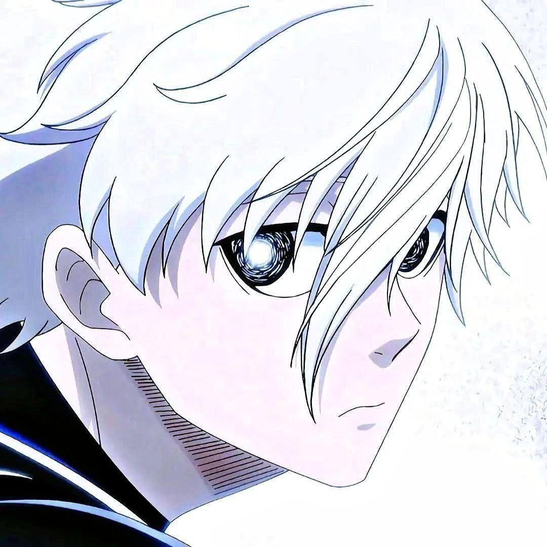 -Sa1X