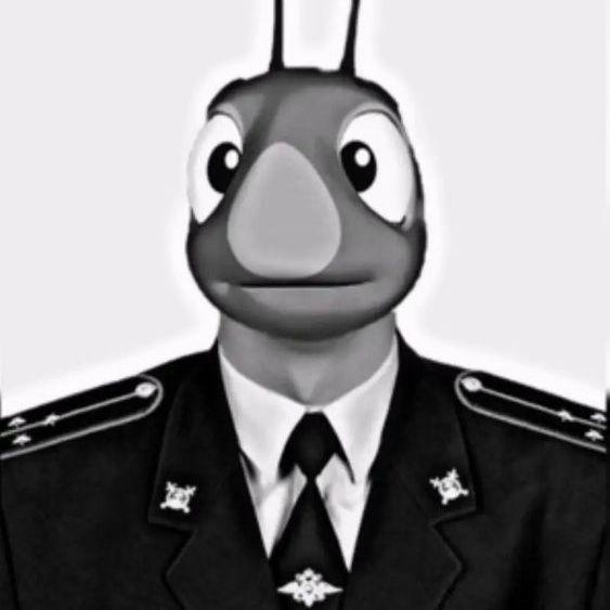 ksanderel avatar