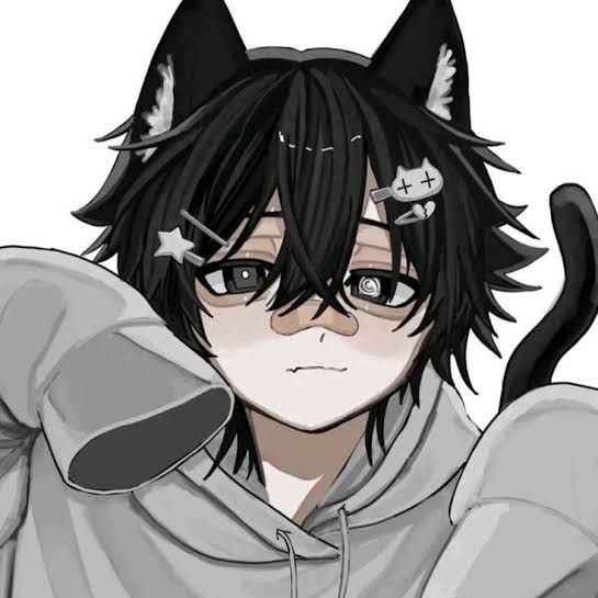 OnlyPaws