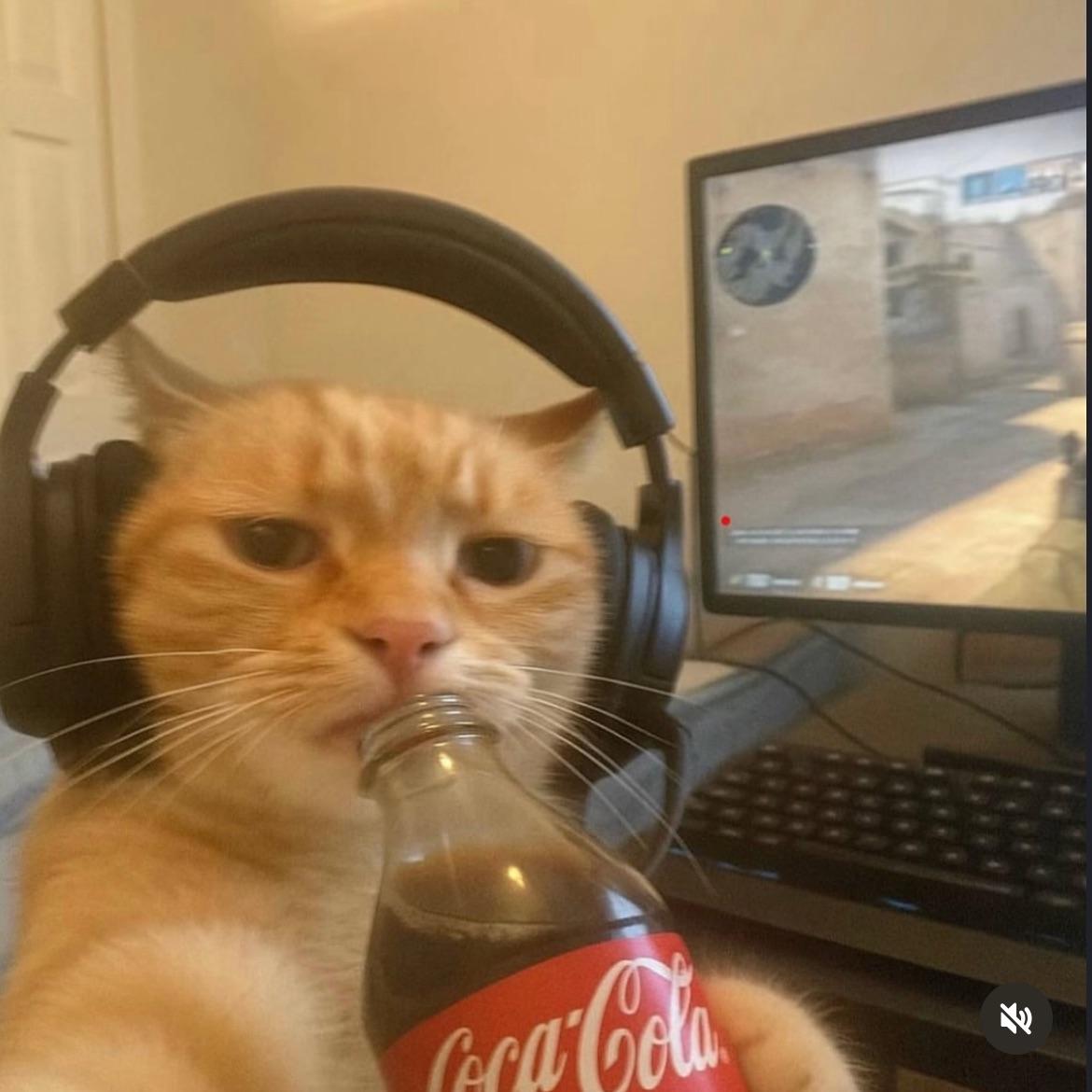 xhemaili_1 avatar