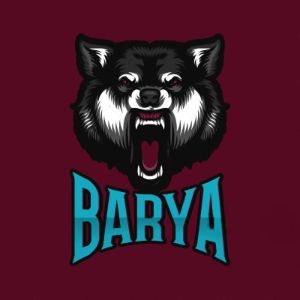 BaryaGaming