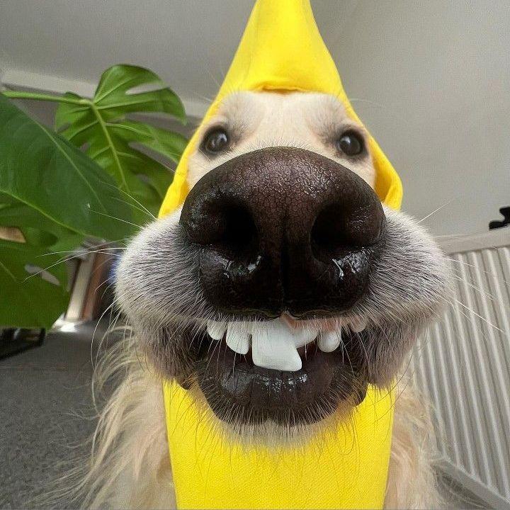 jfeikki_ avatar