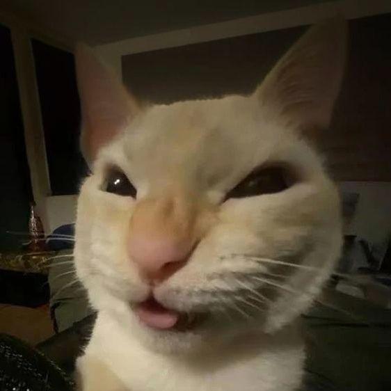 Reuctorn avatar